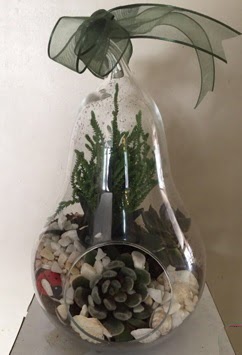 Orta boy armut terrarium 3 kakt�s  Ankara 14 �ubat g�venli kaliteli h�zl� �i�ek 