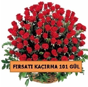  BU KAMPANYA KA�MAZ GER�EK �THAL G�L 101 ADET