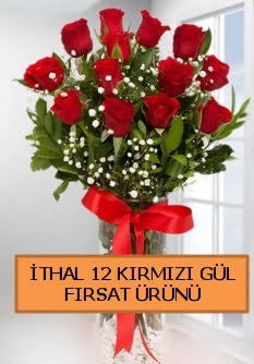 �thal k�rm�z� 12 adet kaliteli g�l  Ankara 14 �ubat ucuz �i�ek g�nder 