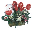  Ankara 14 �ubat yurti�i ve yurtd��� �i�ek sipari�i  Lilyum ve oyuncakli arajman 