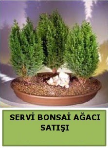 BONSA� 3 L� SERV� BONSA� A�ACI  Ankara 14 �ubat �i�ek�i telefonlar� 