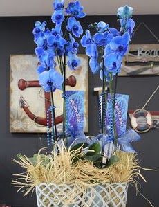 4 dall zel mavi orkide  Ankara 14 ubat iek siparii vermek 