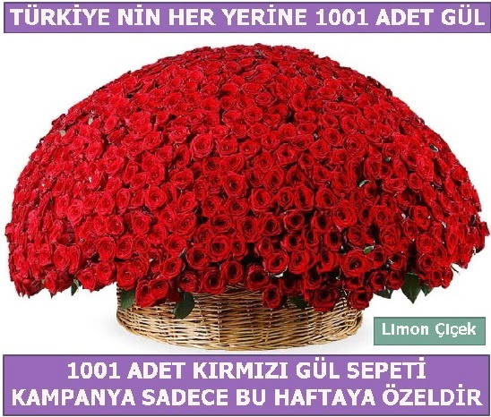 1001 Adet krmz gl Bu haftaya zel  Ankara 14 ubat nternetten iek siparii 