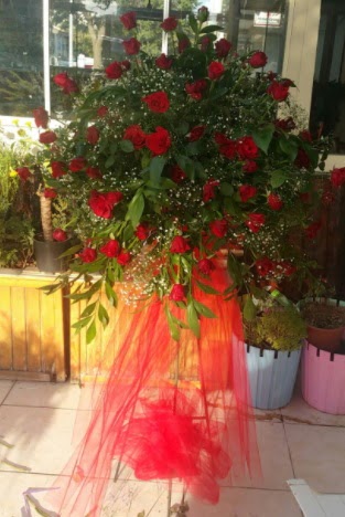 71 adet k�rm�z� g�lden ferf�rje �i�e�i  Ankara 14 �ubat sevgililer g�n� �i�ek sat��� 