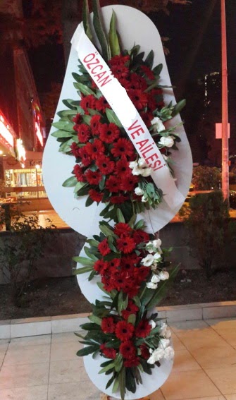 D���n �i�e�i A��l�� �i�e�i  Ankara 14 �ubat �i�ek , �i�ek�i , �i�ek�ilik 