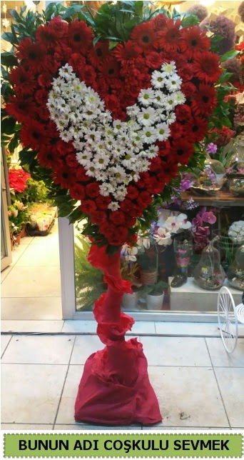 Co�kulu bir a�k �i�e�i  Ankara 14 �ubat ucuz �i�ek g�nder 