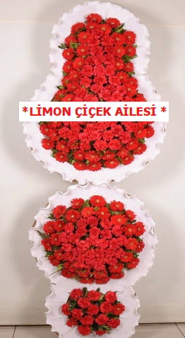 3 katl� k�rm�z� d���n a��l�� �i�e�i  Ankara 14 �ubat �i�ek g�nderme 