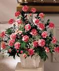  Ankara 14 �ubat cicek , cicekci  Minyat�r ve pembe karanfiller
