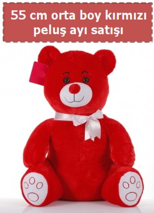 55 cm k�rm�z� orta boy oturan pelu� ay�  Ankara 14 �ubat �i�ek yolla �i�ek�i 