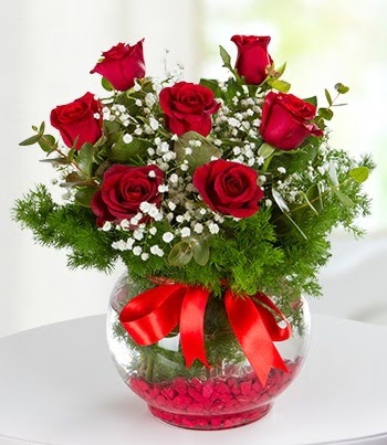 fanus Vazoda 7 G�l  Ankara 14 �ubat �i�ek , �i�ek�i , �i�ek�ilik  