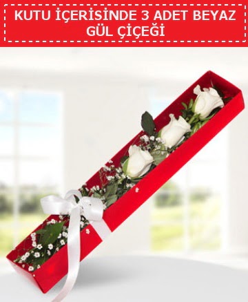 Kutu i�erisinde 3 adet beyaz g�l �i�e�i  Ankara 14 �ubat cicek , cicekci 