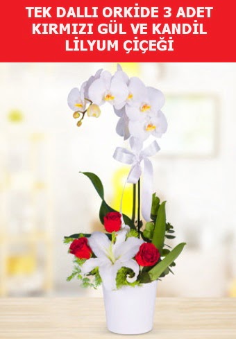 Tek dall orkide 3 gl ve kandil lilyum  Ankara 14 ubat iek yolla ieki 