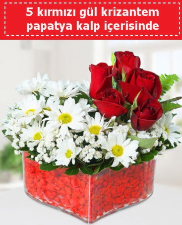 mika kalp i�erisinde 5 k�rm�z� g�l papatya  Ankara 14 �ubat �i�ek g�nderme 
