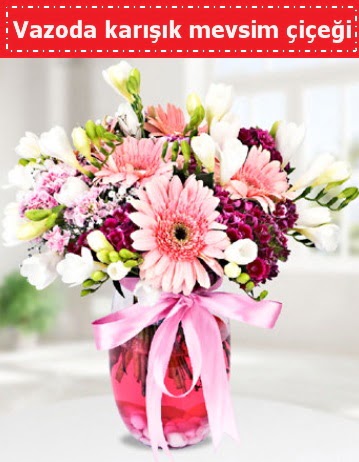 Vazoda kar���k mevsim �i�e�i  Ankara 14 �ubat �i�ek , �i�ek�i , �i�ek�ilik 