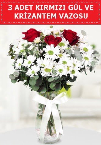 3 k�rm�z� g�l ve camda krizantem �i�ekleri  Ankara 14 �ubat �i�ek g�nderme 