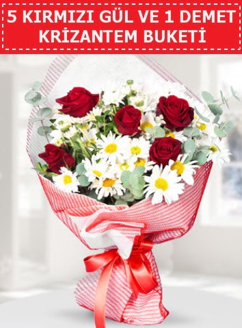 5 adet k�rm�z� g�l ve krizantem buketi  Ankara 14 �ubat sevgililer g�n� �i�ek sat��� 