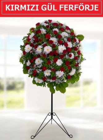 K�rm�z� g�l ferf�rje 40 adet g�l ve gerbera  Ankara 14 �ubat �i�ek yolla �i�ek�i 