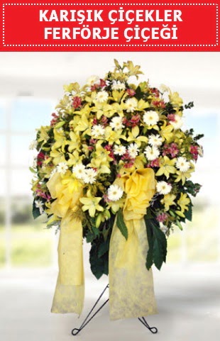 Kar���k mevsim �i�eklerinden ferf�rje  Ankara 14 �ubat internetten �i�ek sat��� 